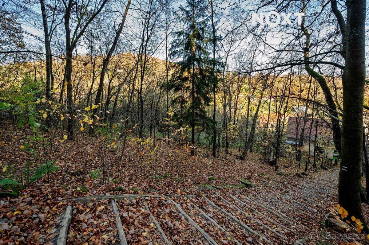 Prodej pozemek Bydlení, 3487㎡ - 9