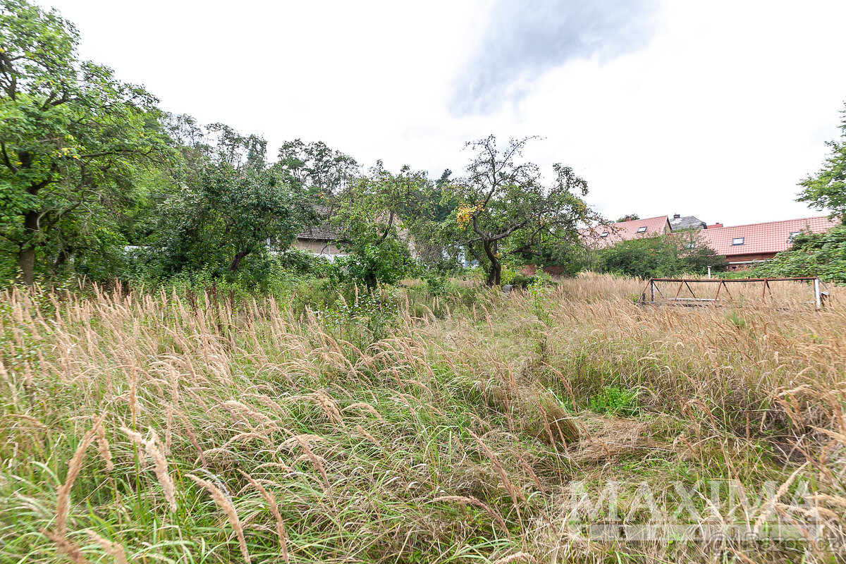 Pozemek o ploše 3823 m2 - Dolní Beřkovice, Podvlčí - 9