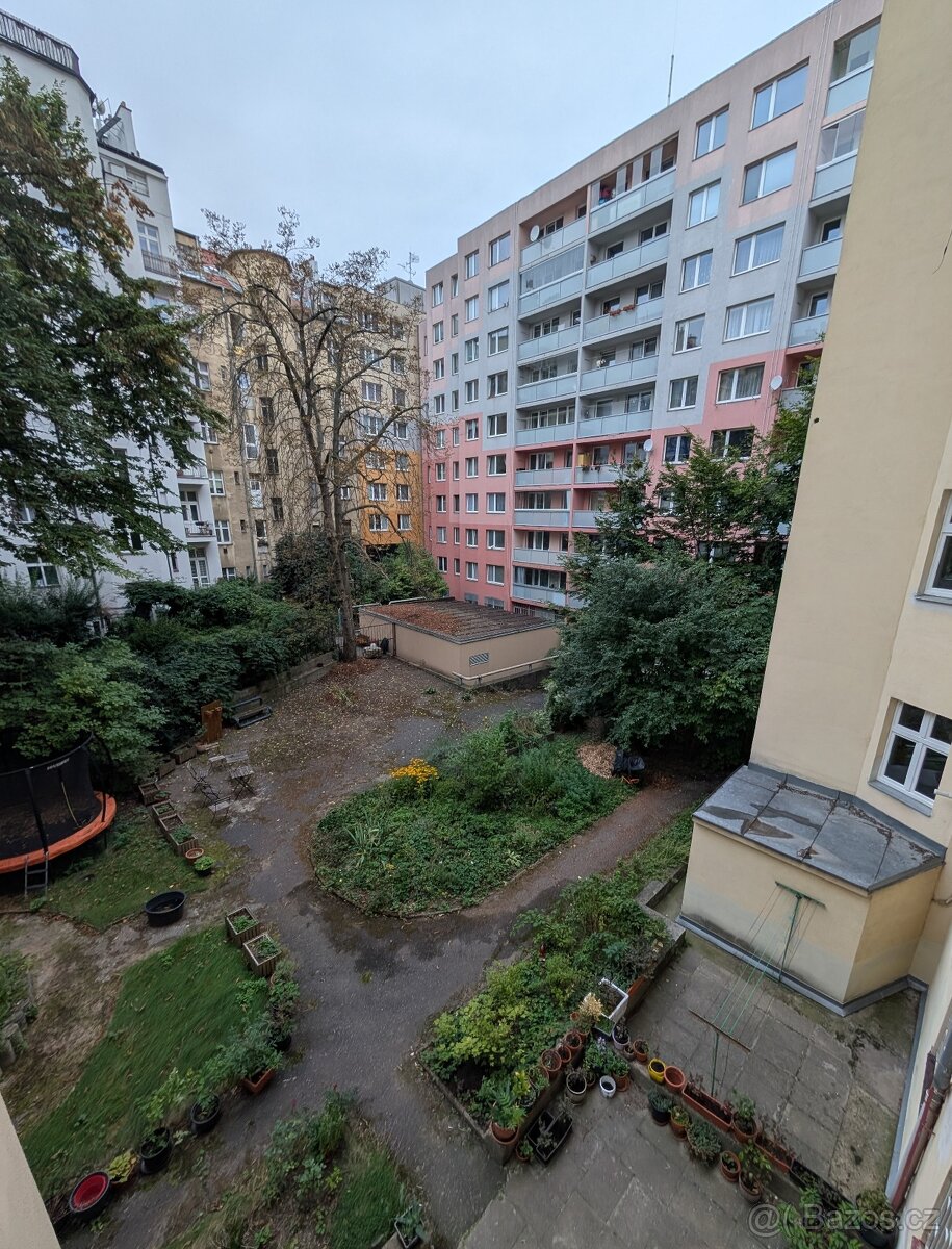 Prodej bytu 2+1 66 m², Praha - Žižkov - 9