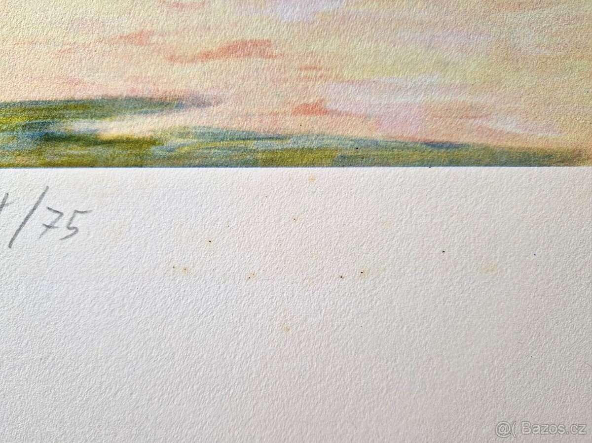 ANDREAS SCHOLZ - Sellerie und tomate (Litografia)fotorealis - 9