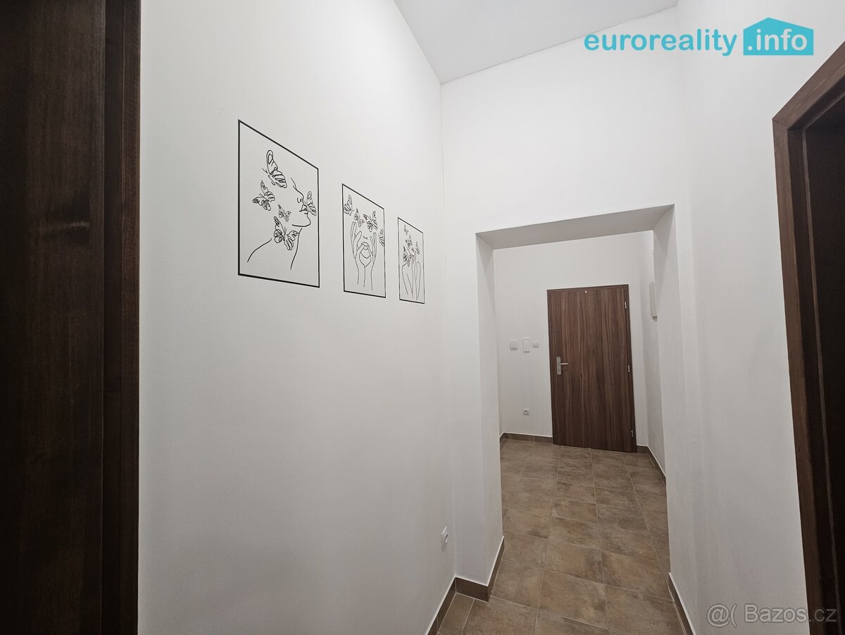 Pronájem, byt 3+kk, 56 m2, Luby, ul. Revoluční - 9