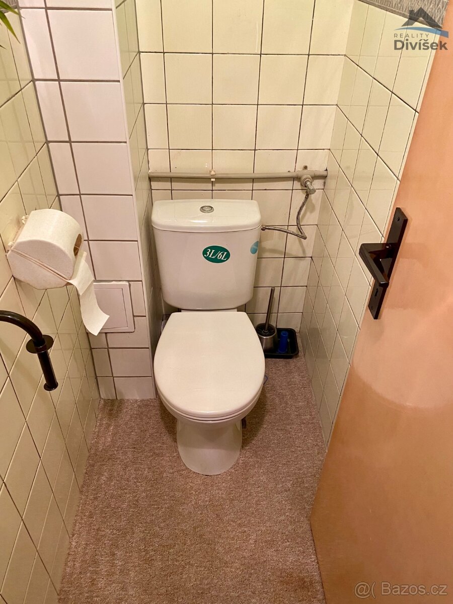 Prodej bytu 2+1 v Býšti - 9