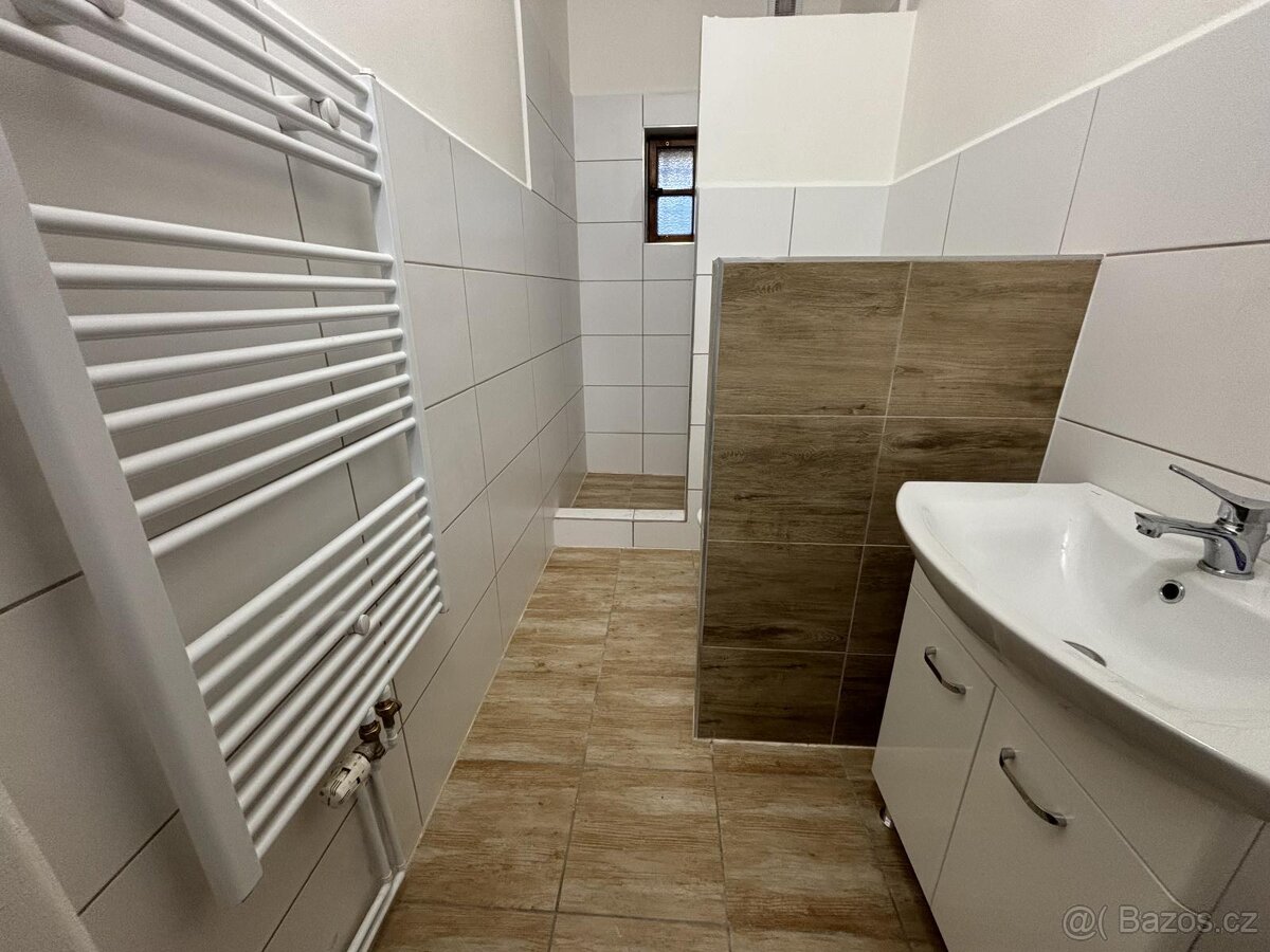 Pronájem prostoru v centru České Lípy - 9