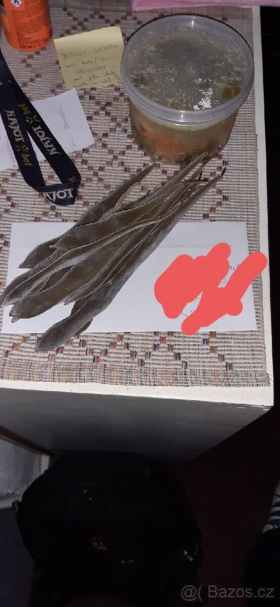 Semena vistárie a katalpy + stromky + vodní rostliny - 9