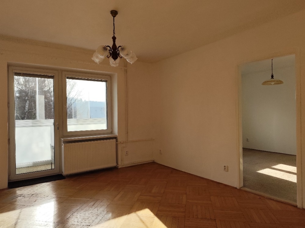 Pronajmu byt 2+1 - 9