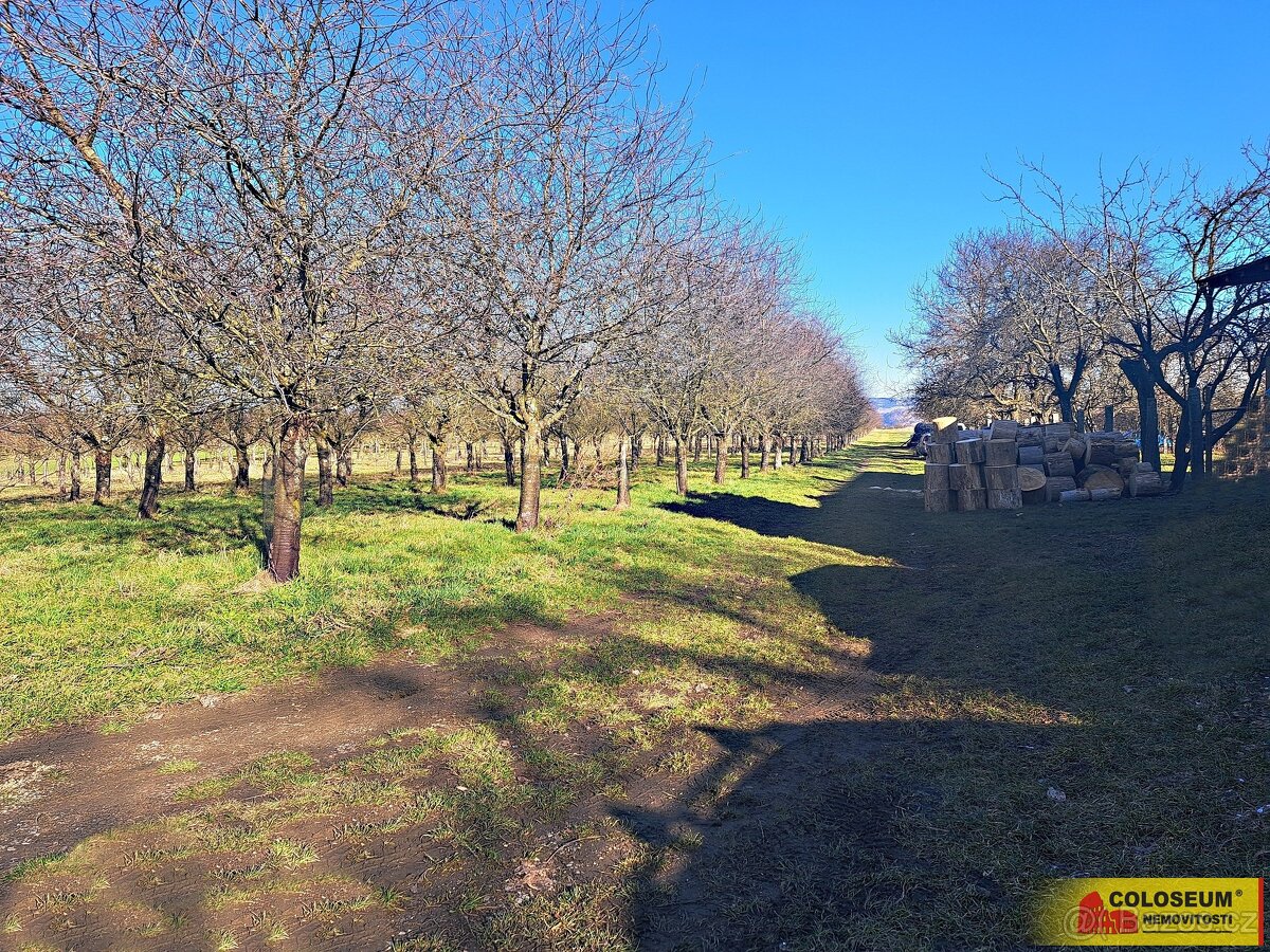 Štěchov, stavební rezerva, 4 979 m2 – pozemek - 9