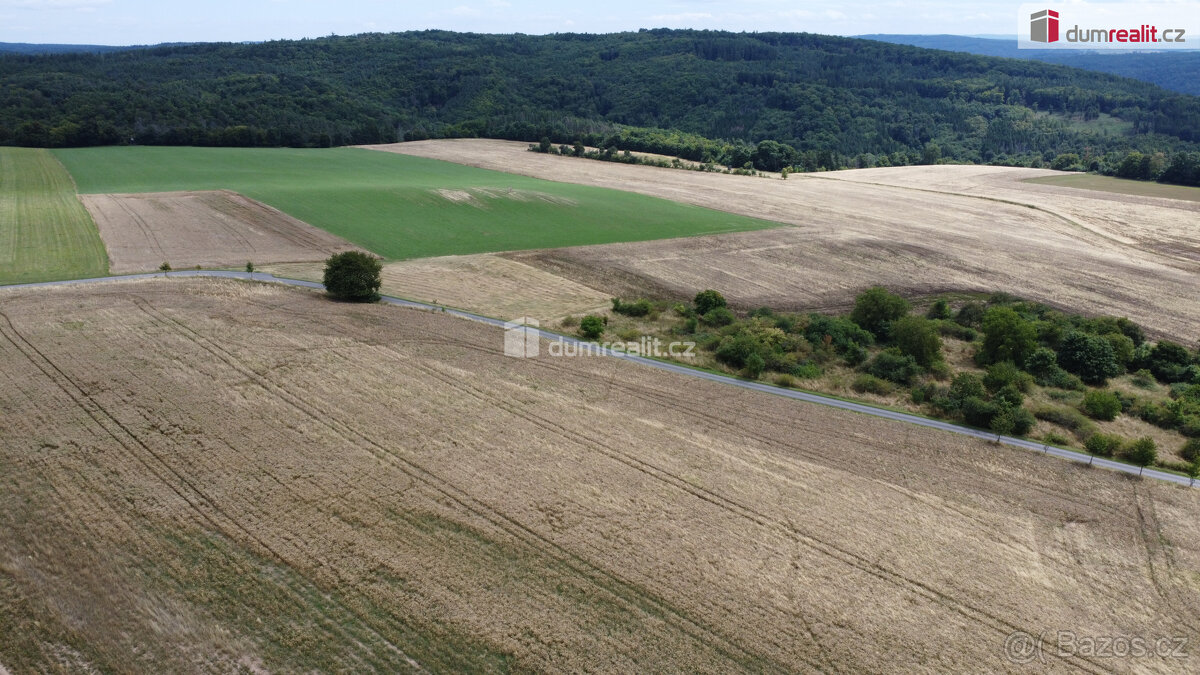Prodej pozemku 3943 m2, Sýkořice - 9