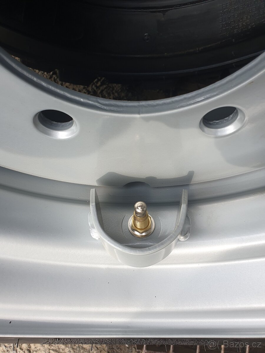 Kola UNC - Locust - 9