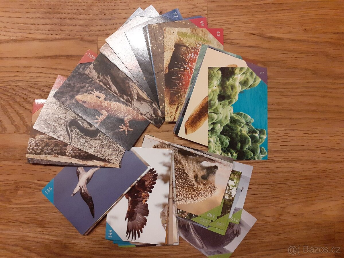 Animal kingdom, Hokej, Spookies, Star Wars, WWF, Patrola - 9