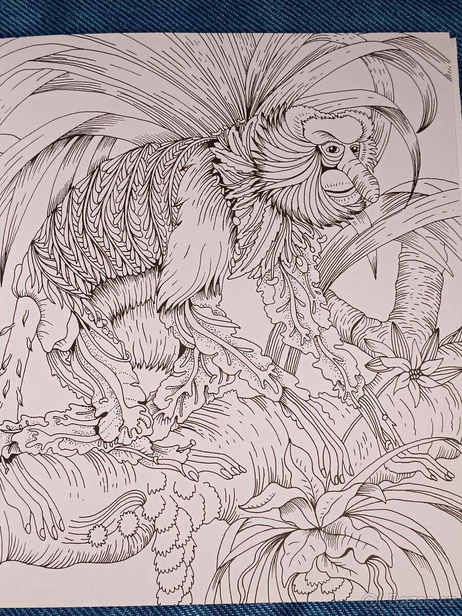 Omalovánky pro dospělé Exotický prales - 9