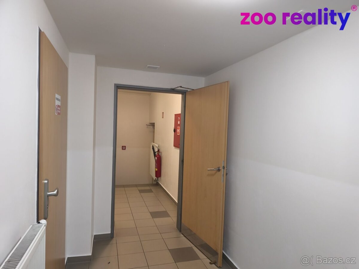 Pronájem, byt 2+kk, České Budějovice - 9