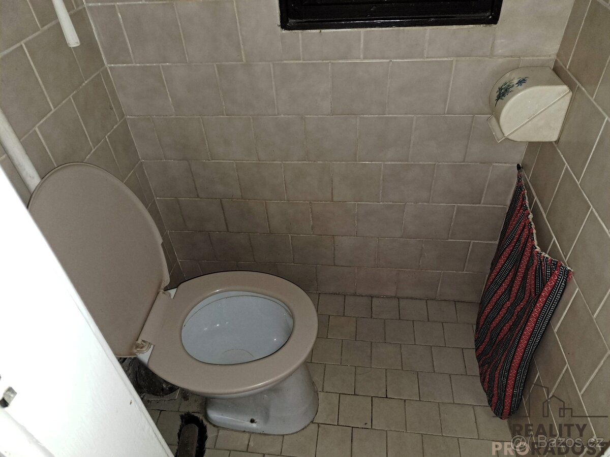 Pronájem bytu 1+1 48 m² U staré pošty, Praha - Braník - 9