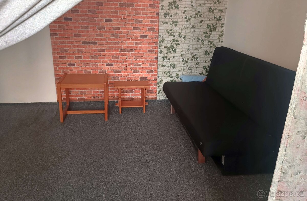 Pronájem 1+1 České Budějovice, Skuherského na Pražském předm - 9