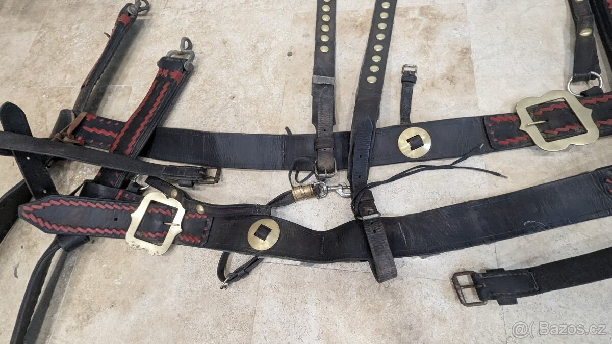 Prodám párové postroje do kočáru s chomouty - 9