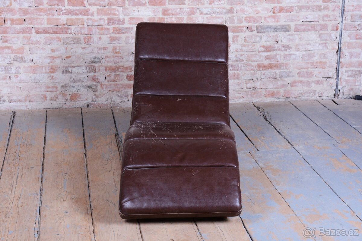 Elegantní hnědá lenoška - 9