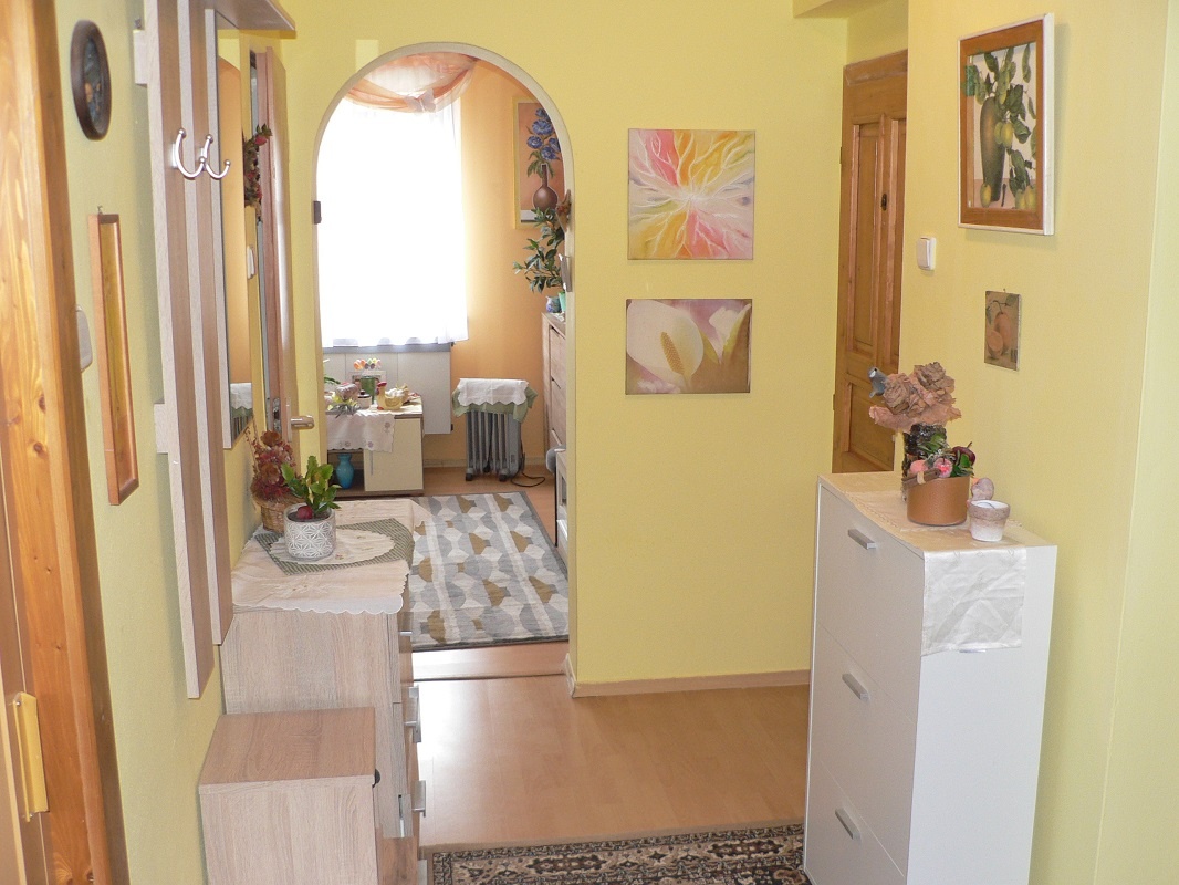 ČEKANICE - byt 4+1 s plechovou garáží a zahrádkou - 9