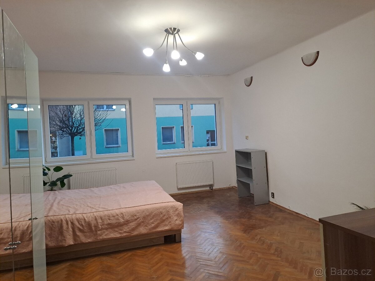 Pronájem byt 2+1 - 9