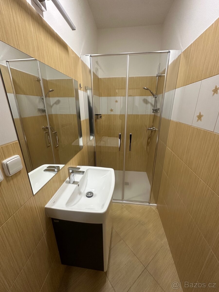 Byt k pronájmu 2+kk (43,6 m2) - 9