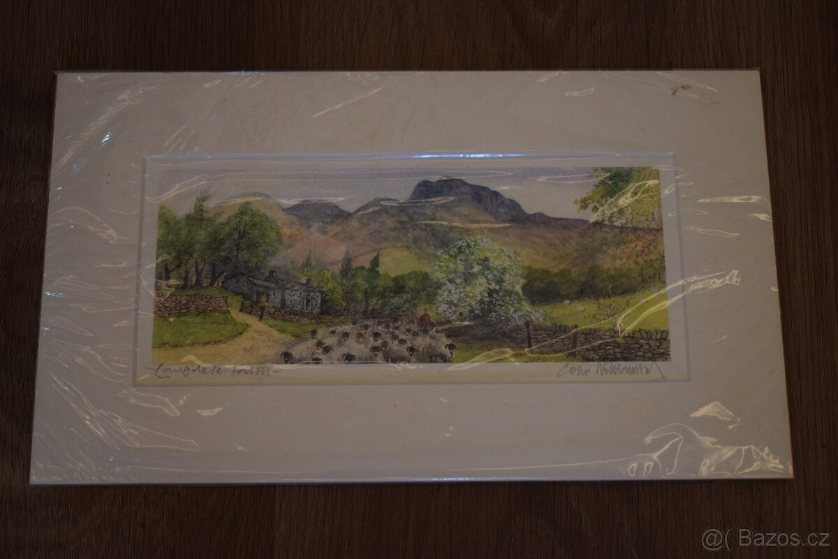 vyšívky v rámečku ,moderní obrázky - 9