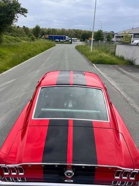 Ford Mustang Fastback 1967 - 9