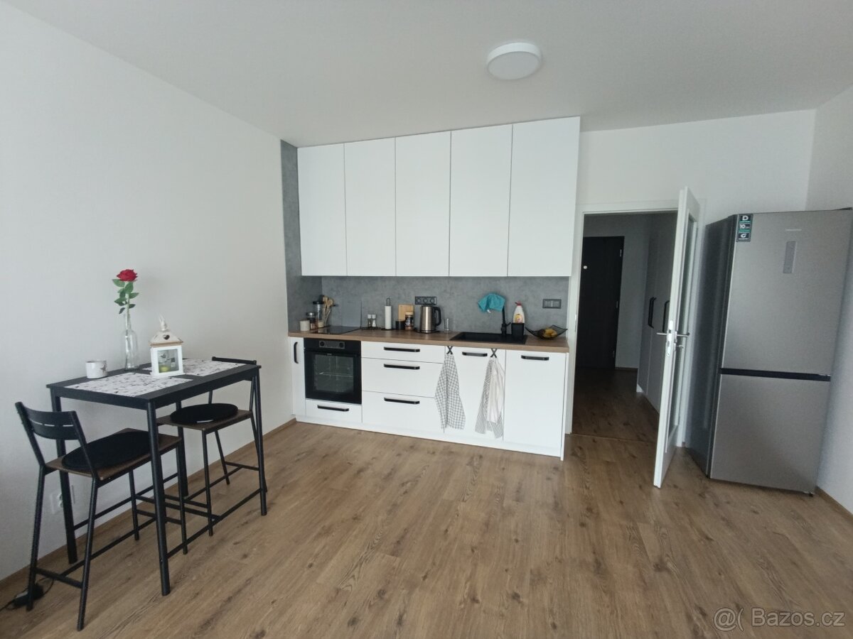 Pronájem bytu 1+kk, novostavba Opava, Císařského pluku - 9