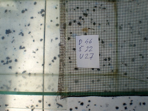 Skleněná terária - 9