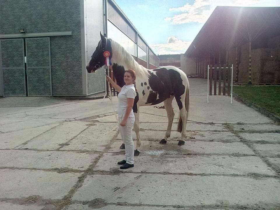 Deros Verona - Pardubicko - 9