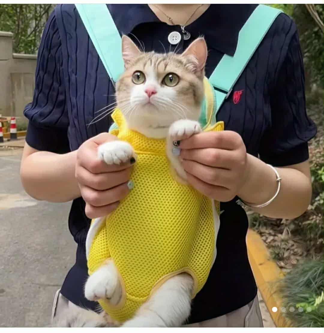 Kvalitní oblečení pro koček. - 9