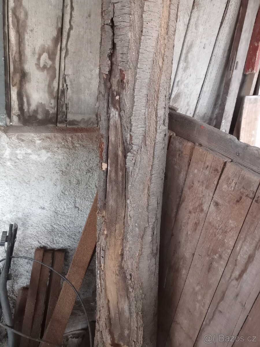 Dřevo, kulí, kmen Trnka, meruňka - 9