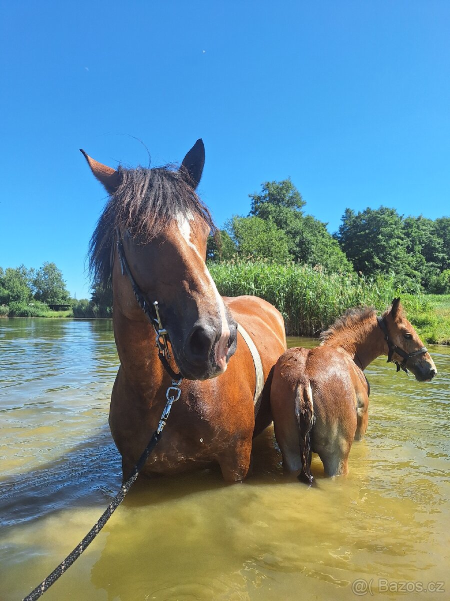 Prvomájový hřebeček ČMB 2025 - 9