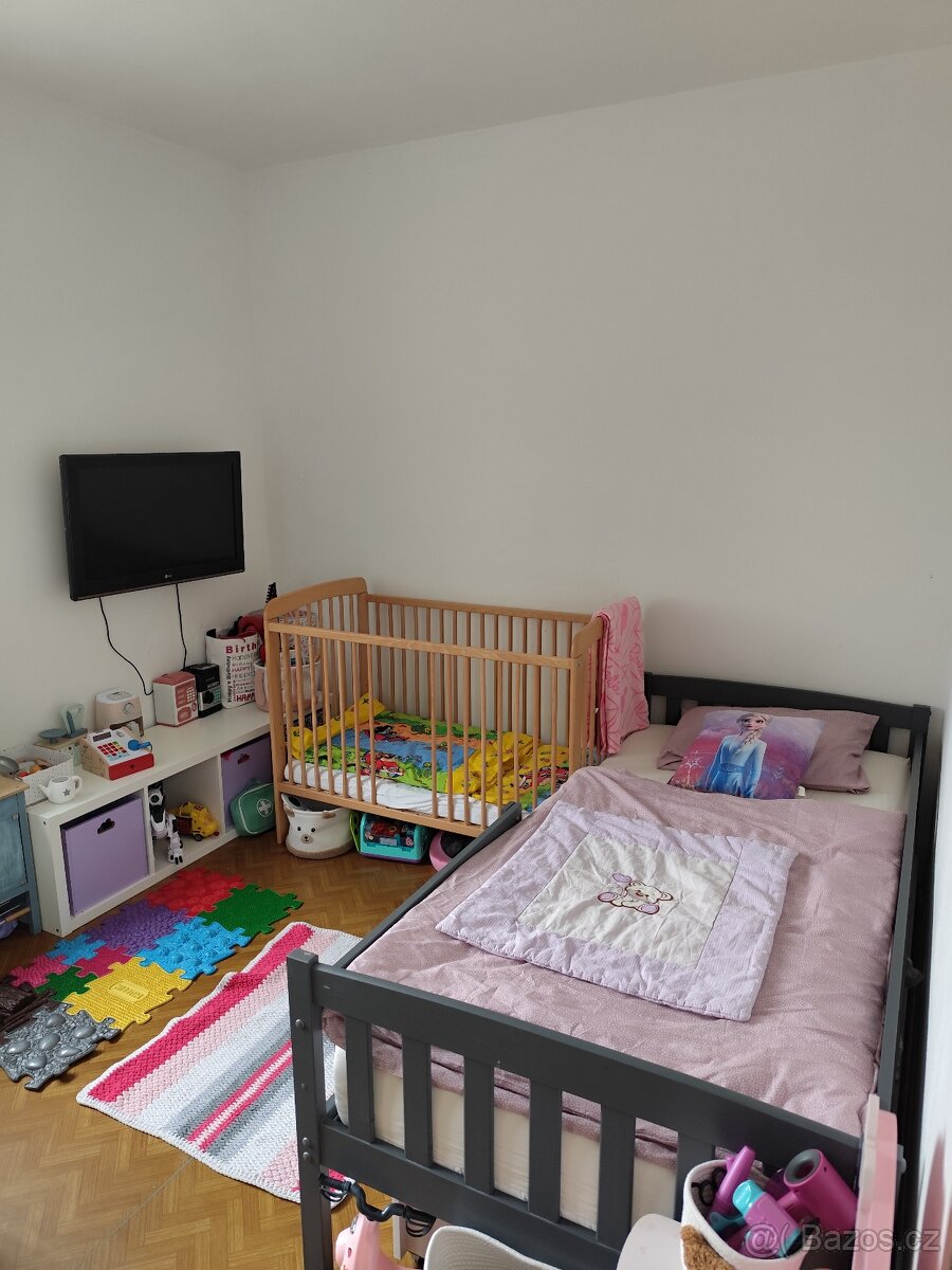 Byt 3+1 Chaloupky - 9