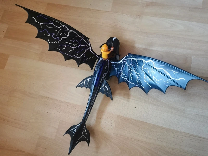 Playmobil 71081 Dragons Devět říší Thunder a Tom - 9