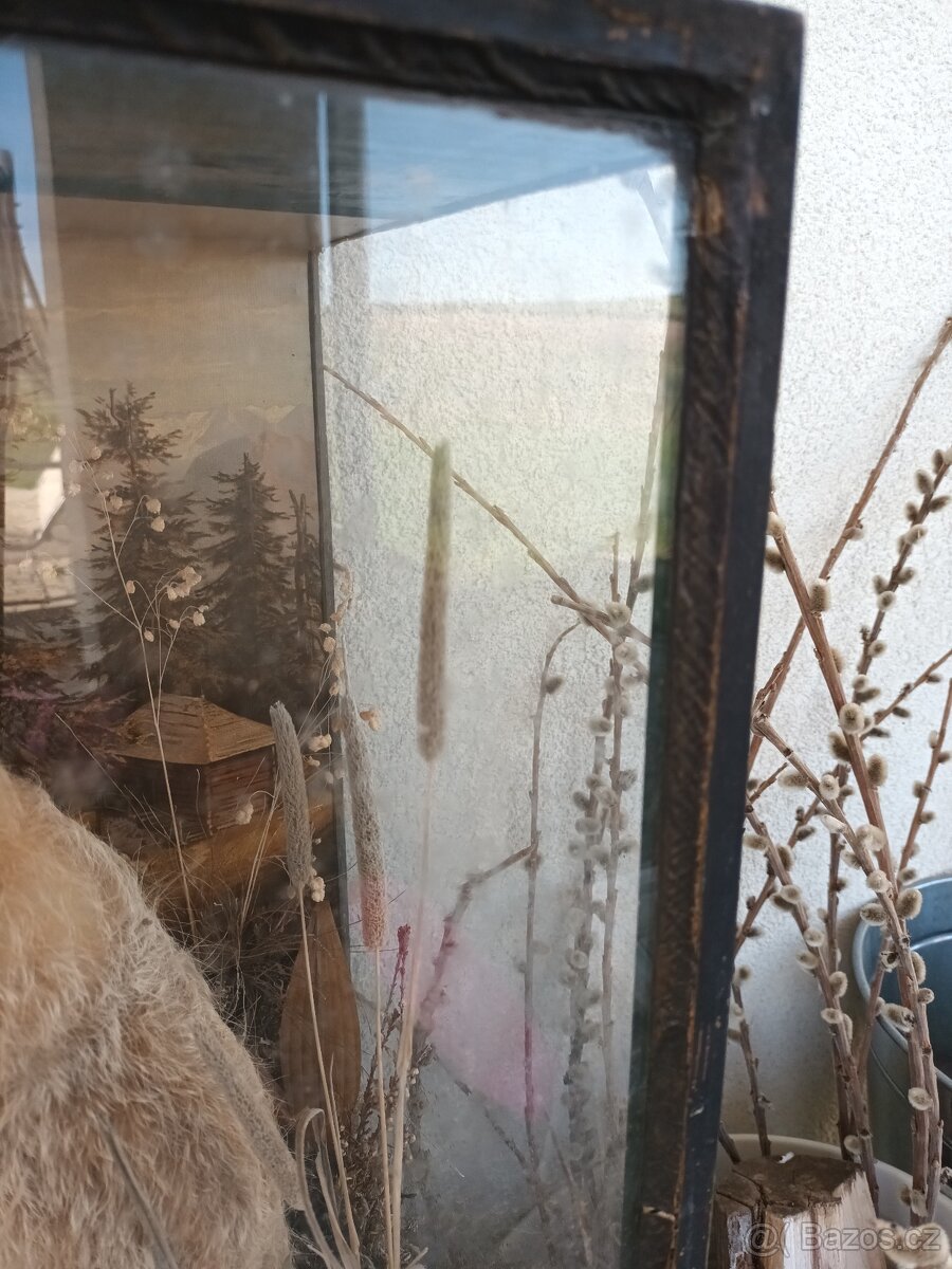 Rarita Starožitný 2x vycpaný zajíc mládě aranžmá ve vitríně - 9