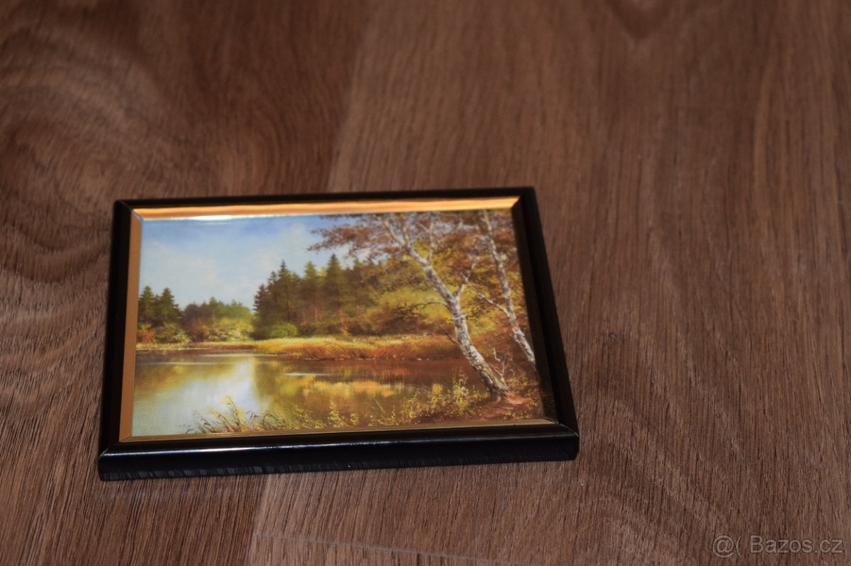 Různé starší obrazy+ obrázky - 9