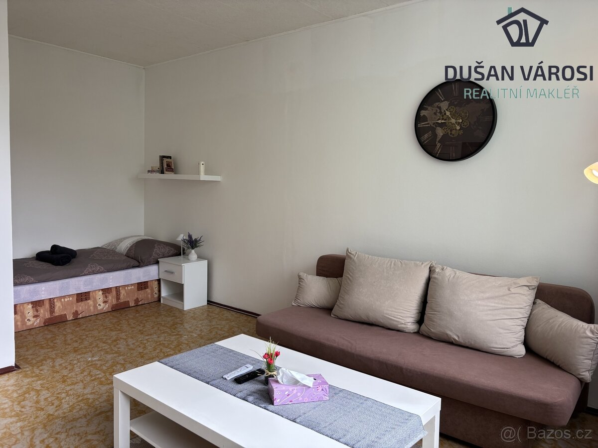 Pronájem VYBAVENÉHO bytu 1+1, Nové sady - 9