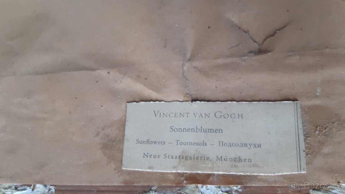 Slunečnice VINCENT VAN GOGH - 9