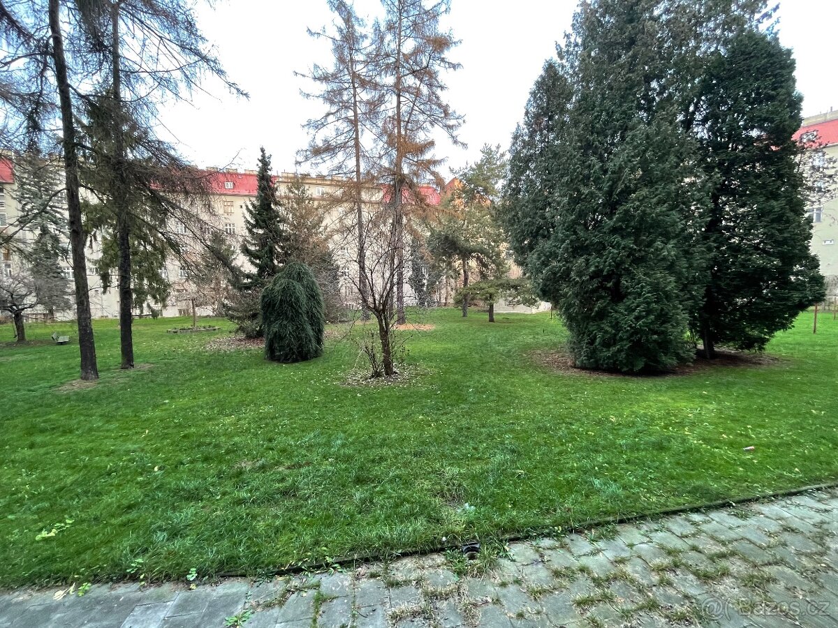 Pronájem bytu 2+ kk Šmeralova, Olomouc - 9