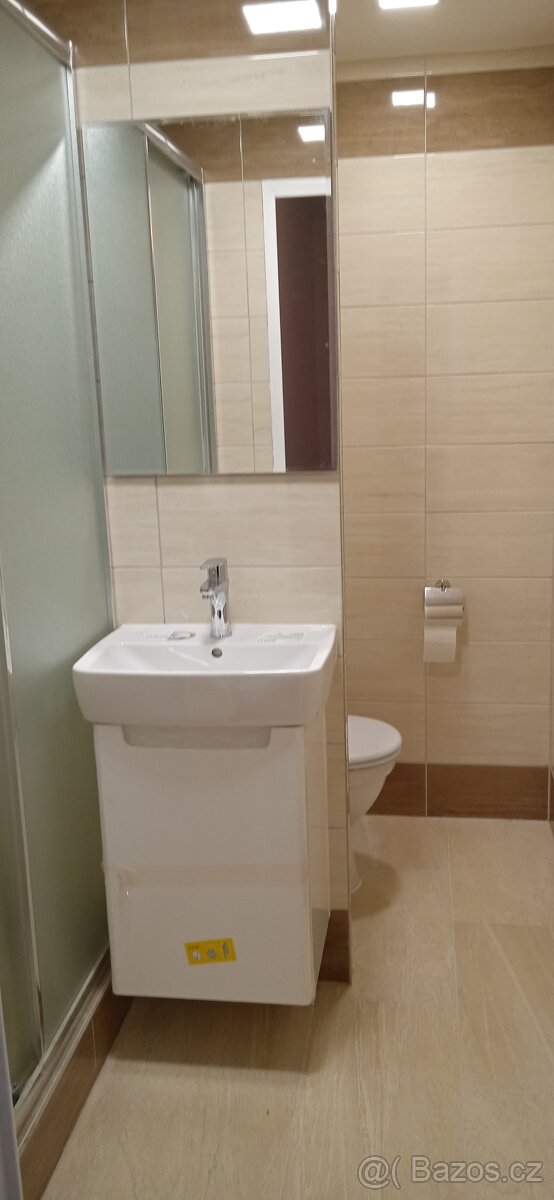 Pronájem 2+1 Ostrava Dubina - 9