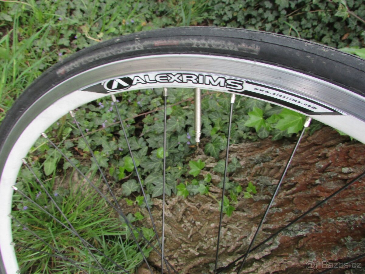 Pinarello - 9