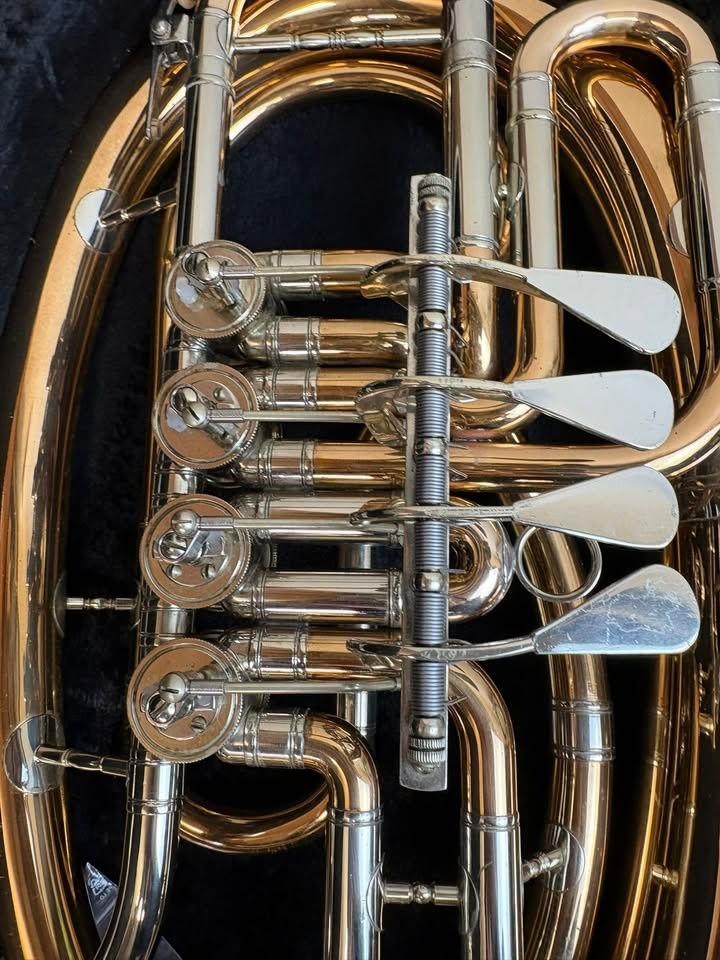 Baryton baskřídlovka V.F. Červený - 9