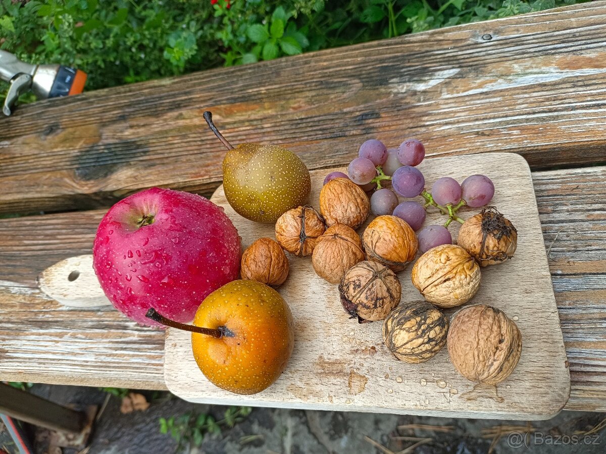 Pronájem zahrady v Plzni - Lobzy. Gril a rekreace. 1890 Kč - 9