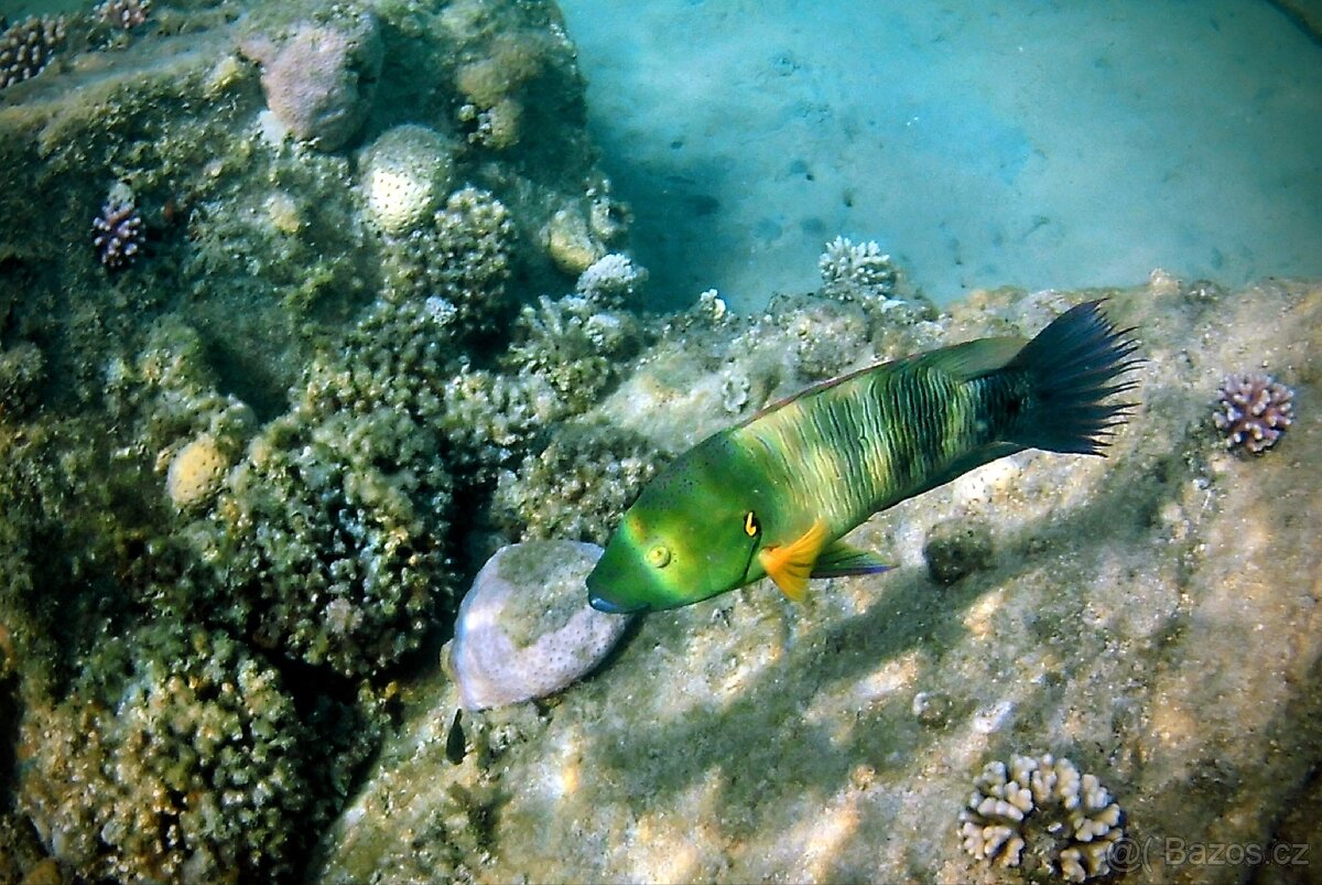 4K akční kamera Rollei ActionCam 350 - 9