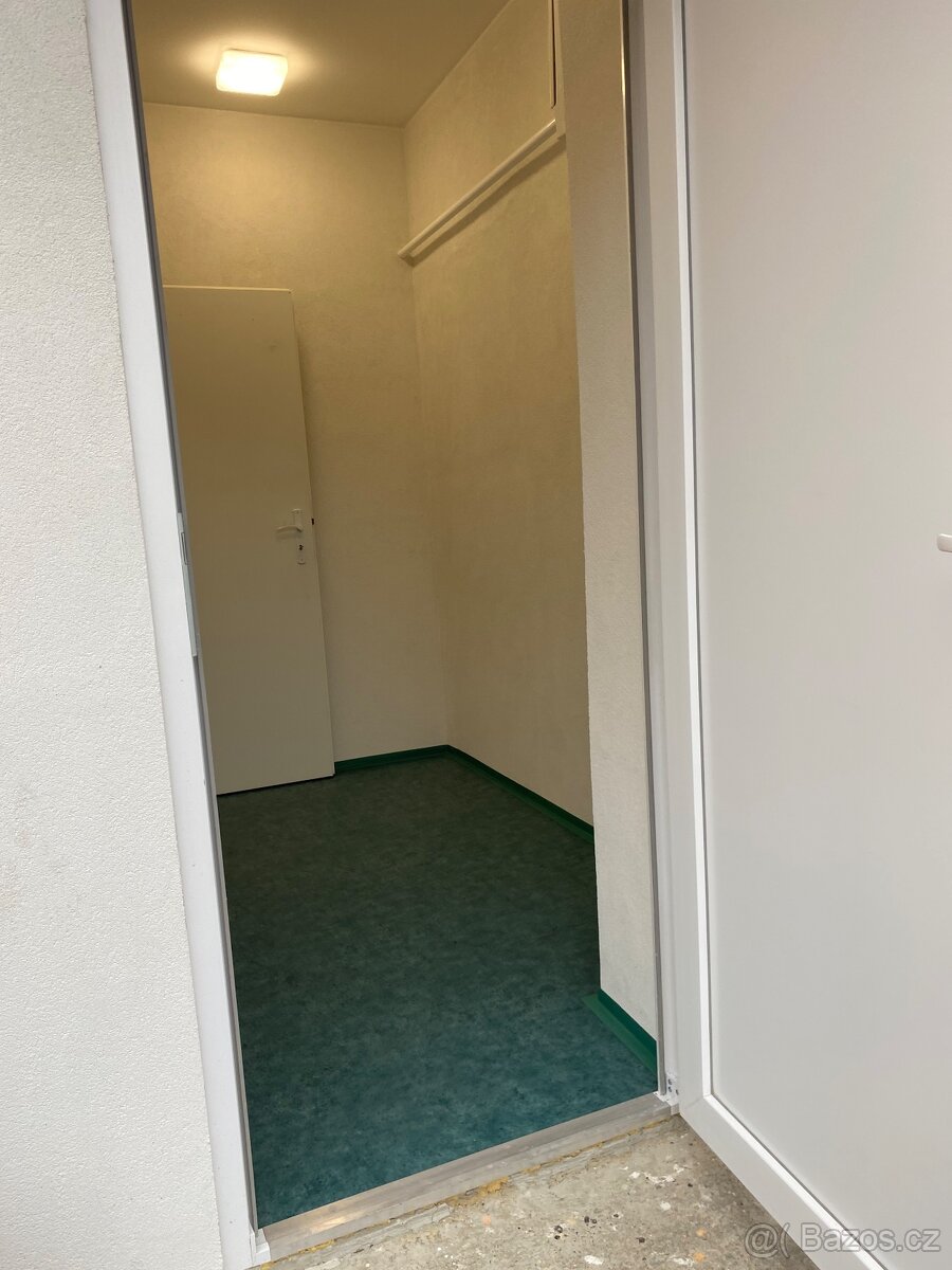 Pronájem nebytového prostoru - 9