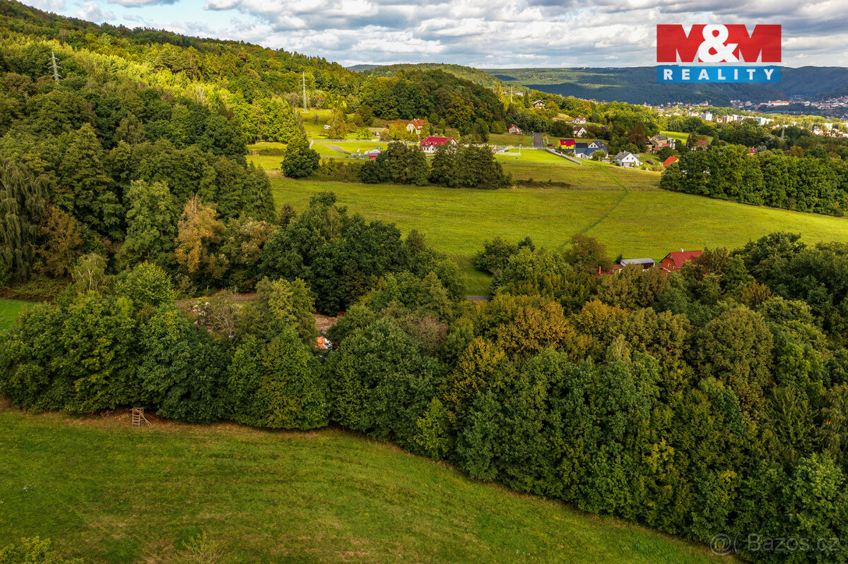 Prodej pozemku k bydlení, 3192 m², Děčín - Vilsnice - 9