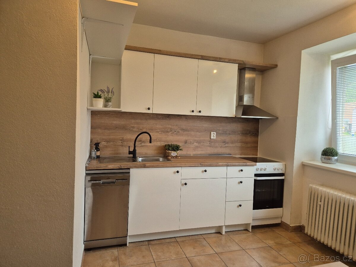 Pronáhem bytu 2+1 - 9