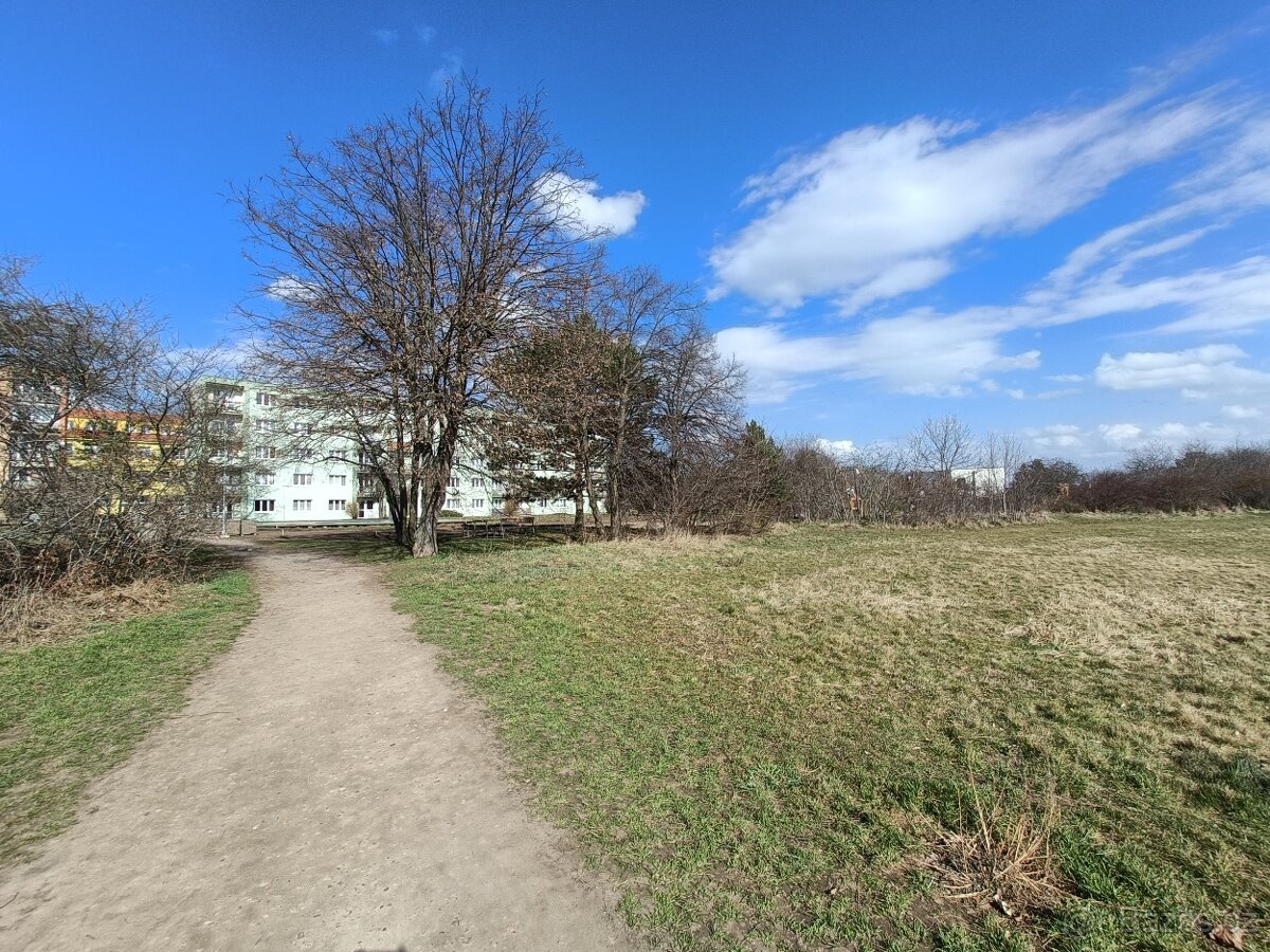 Byt 1+1 Odolená Voda - 9