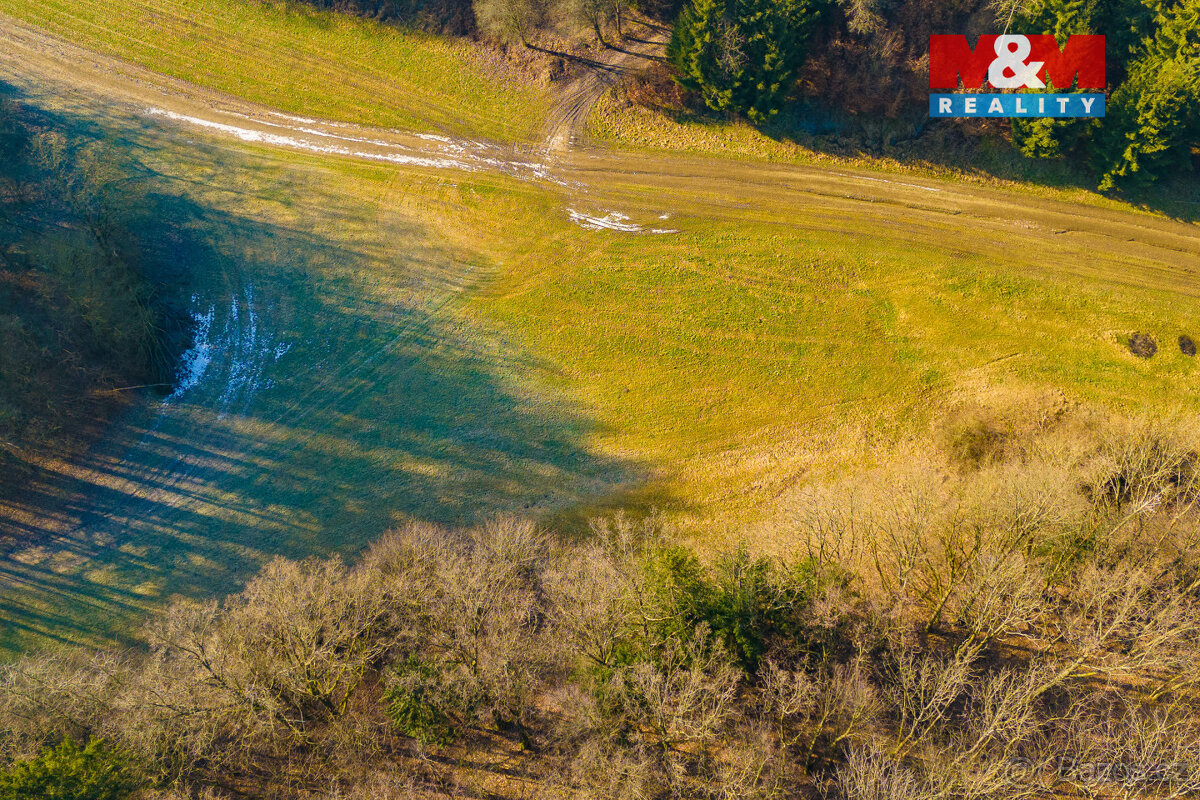 Prodej louky, 2359 m², Karle - 9