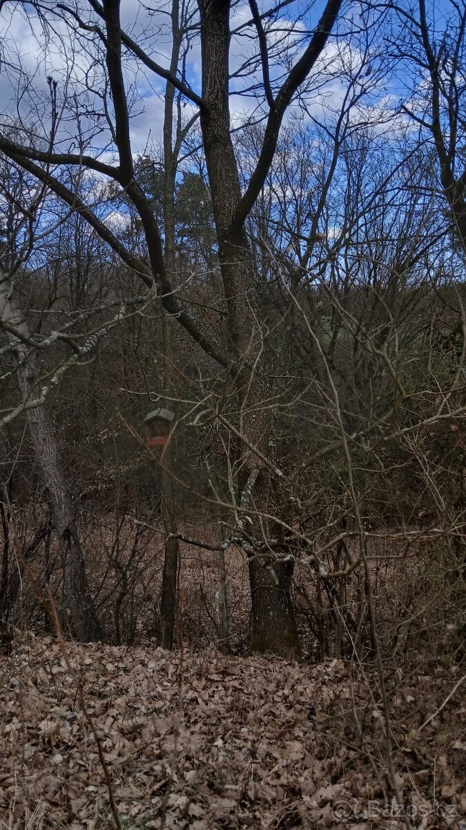 Jalubí - místo pro odpočinek - 9