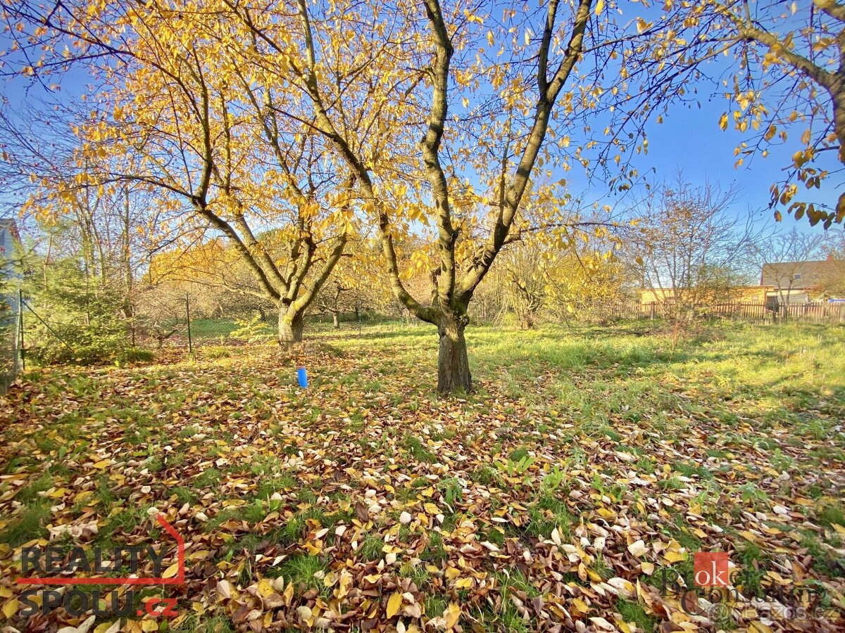 Prodej, pozemky/bydlení, 1049 m2, Rybníčky 100, 74781 Otice, - 9