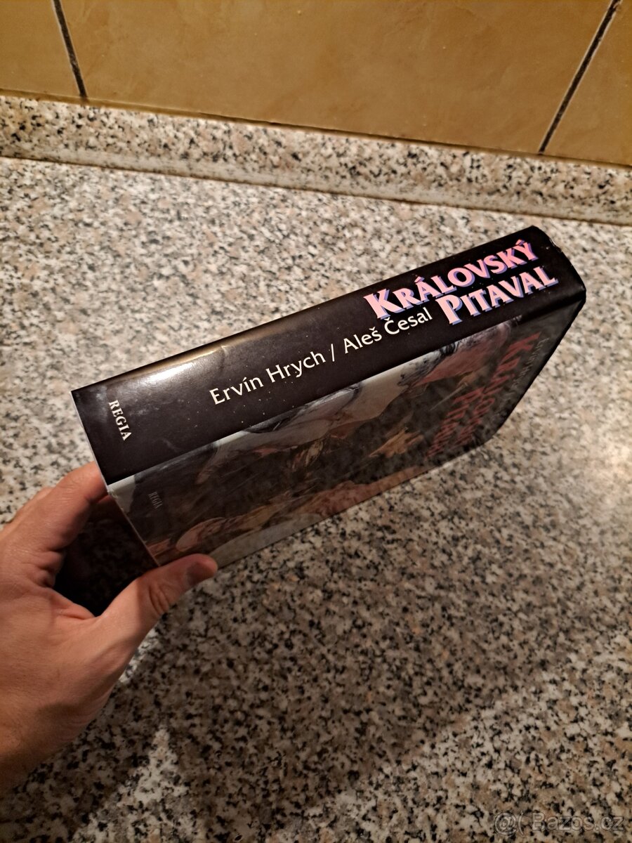 Královský pitaval: Kralovraždy ve světových dějinách - Ervín - 9